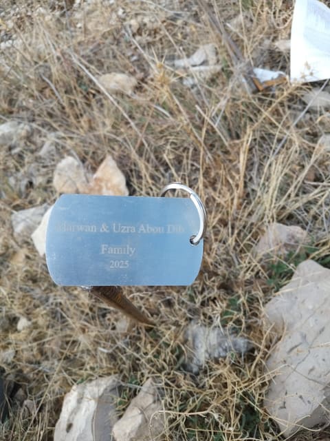 Marwan & Uzra Abou Dib - Cedar Tree — photograph 2