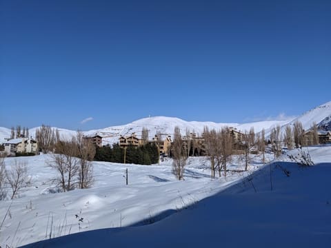 Tilal Al Assal Kfardebian — photograph 4
