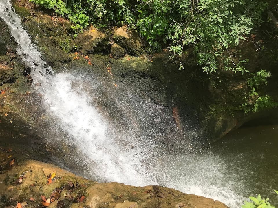 Al Assi Water Course