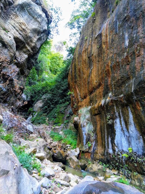 Al Assi Water Course — photograph 2