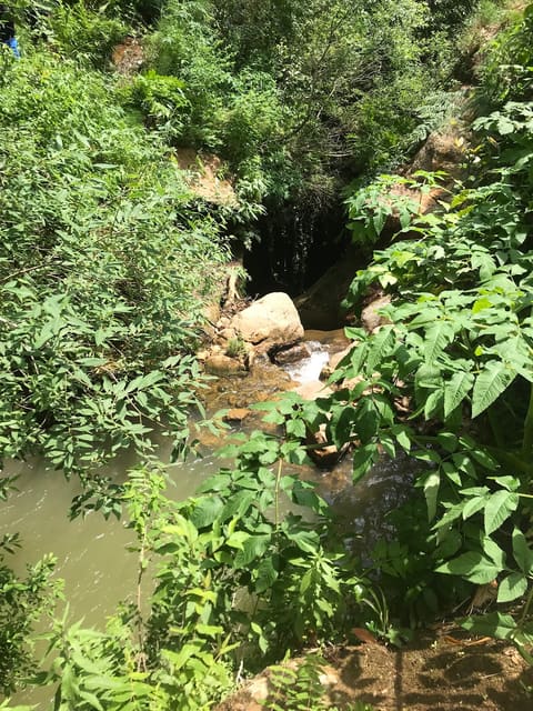 Al Assi Water Course — photograph 6