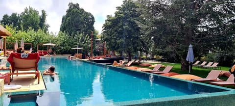 Le Sushi Bar & Pool Kfardebian — photograph 3