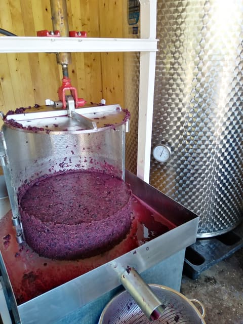 Vignoble JOURA — photograph 6