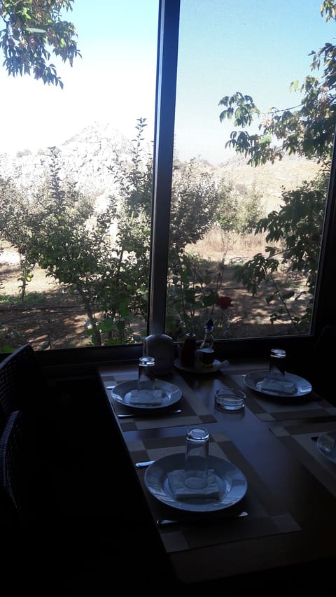 Al Diyafeh Restaurant — photograph 6