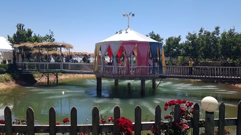 Aarus al Buhaira Restaurant — photograph 2