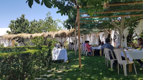 Aarus al Buhaira Restaurant — photograph 3