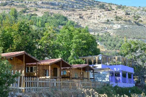 Nabeh el Fouar — photograph 3