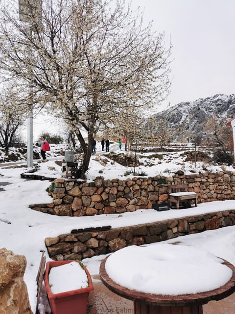 Zoufa resto laklouk — photograph 5