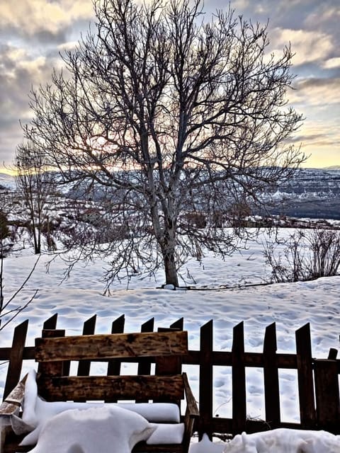 Purple Hills — photograph 2