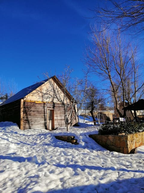 Evasion Laklouk — photograph 5