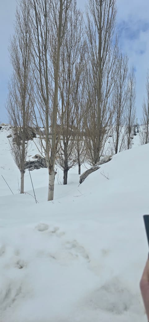 Laqlouq — photograph 5