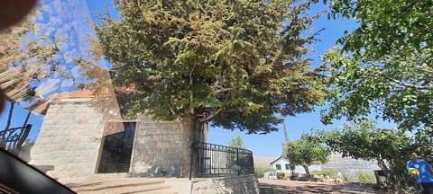 St Charbel Church — photograph 3