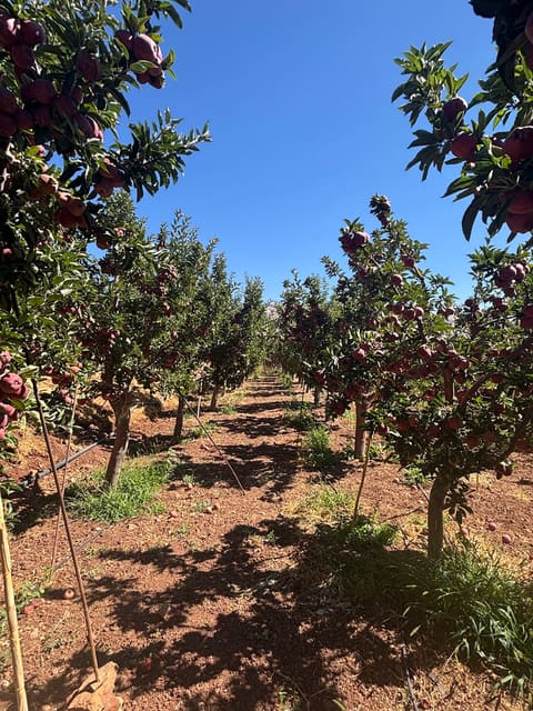 Finca Kartaba Heights — photograph 2