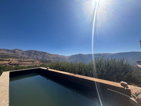 Finca Kartaba Heights — photograph 4