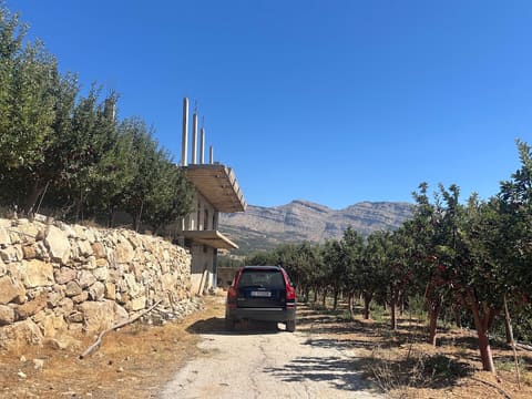 Finca Kartaba Heights — photograph 6