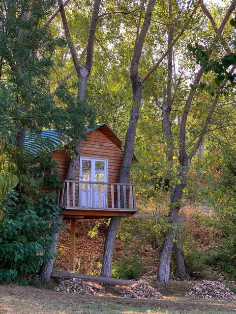 l'Auberge de Laqlouq — photograph 4