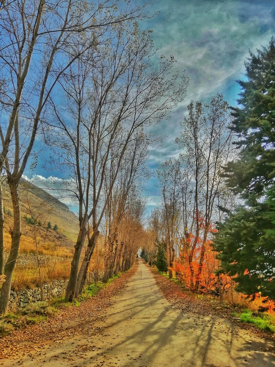 Laklouk winter resort