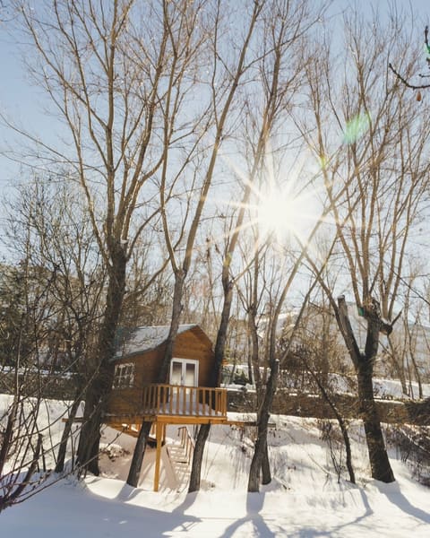 Laklouk winter resort — photograph 4