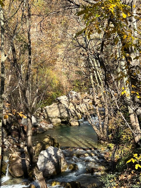 Aqoura Waterfall — photograph 5