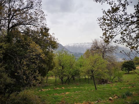 St. Edna Monastery — photograph 5