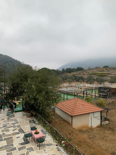 Al Wadi — photograph 6