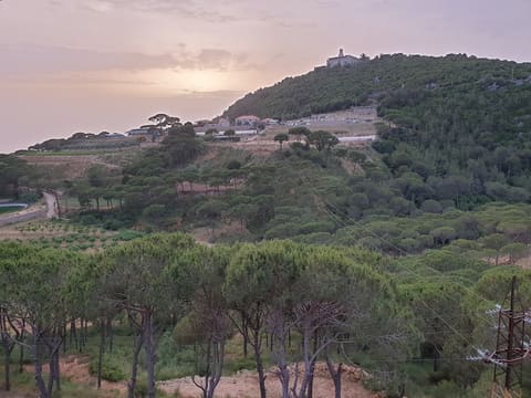 Domaine De Mar Chaaya — photograph 6