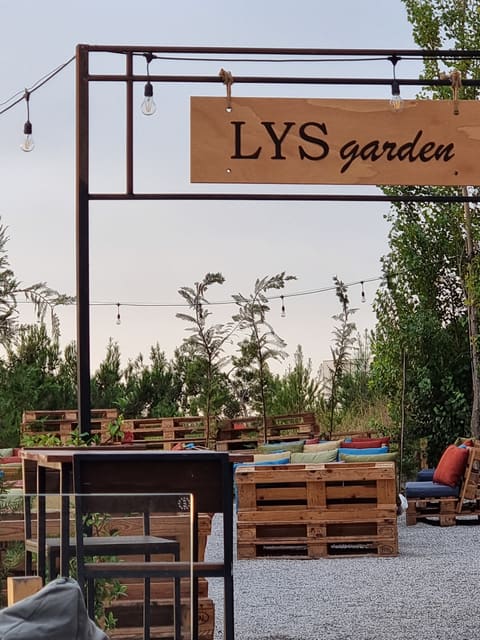 LYS 45 — photograph 6