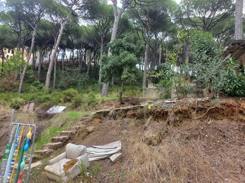 Ain saade — photograph 2