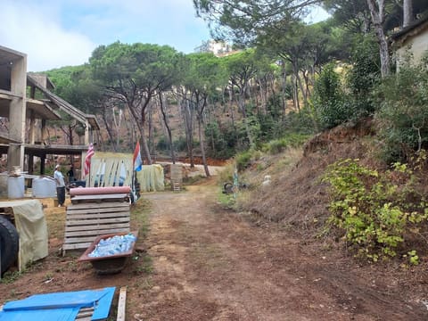 Ain saade — photograph 3