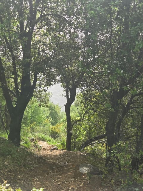 Broummana Trail Start — photograph 2