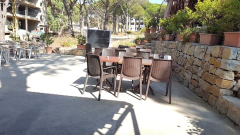 Salha Picnic — photograph 3