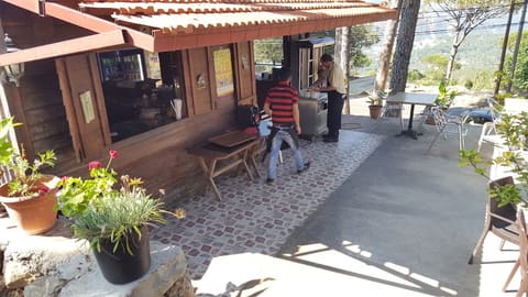 Salha Picnic — photograph 4