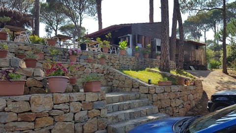 Salha Picnic — photograph 5