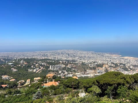 Archbishopric Notre Dame Ain Saadeh — photograph 4
