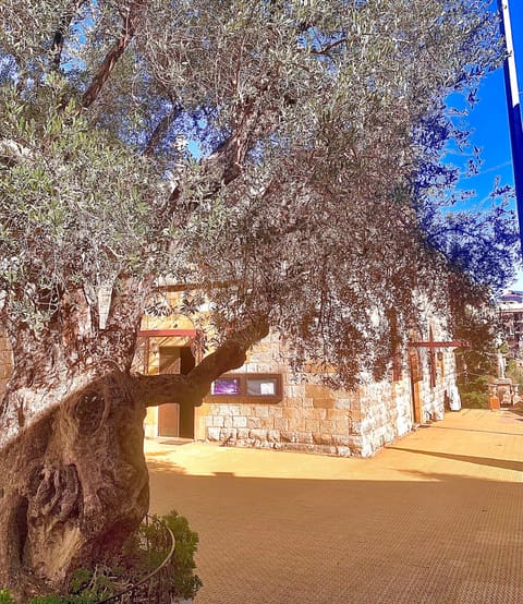Saint Georges Church — photograph 4