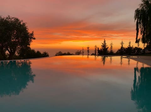 Aurelia Pool Bar — photograph 4