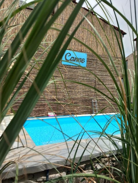 Canne — photograph 5