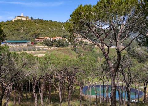 Saint Isaiah (Mar Chaaya) farm — photograph 3