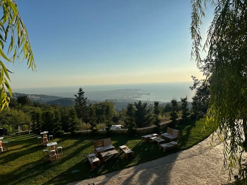 Aurelia Venue — photograph 5