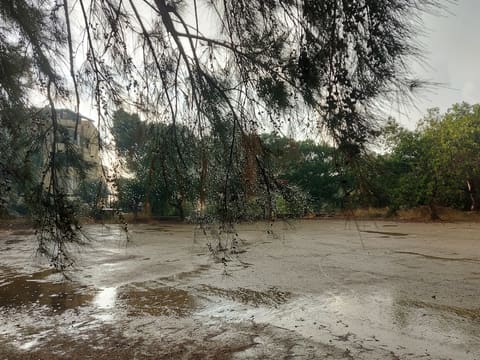 Abandonned Lebanese University Building — photograph 5
