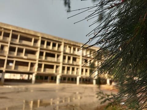 Abandonned Lebanese University Building — photograph 6