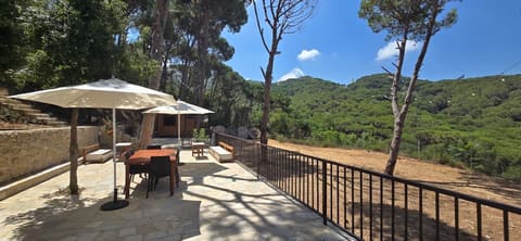 Mocko Village Club — photograph 5