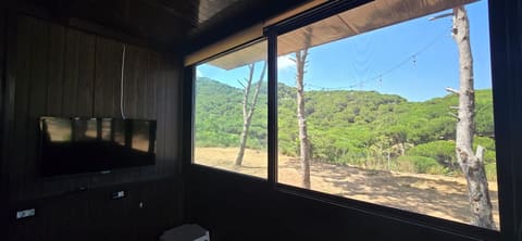 Mocko Village Club — photograph 6