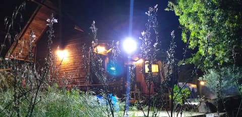 BIG JACK'S COTTAGE — photograph 6