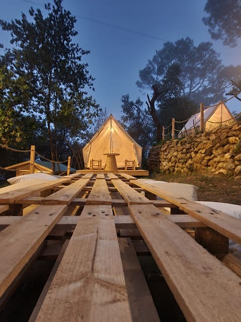 Glamp — photograph 2