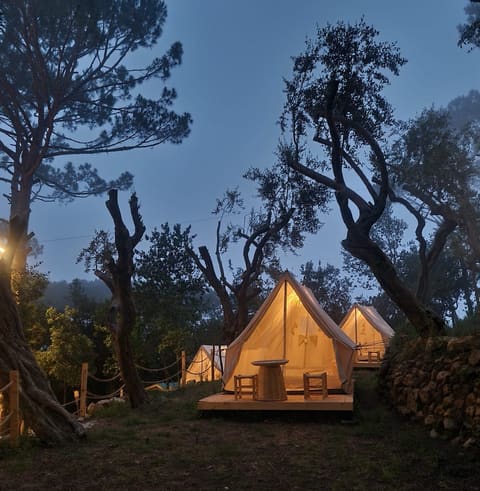 Glamp — photograph 3