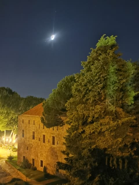 Old Presidential Palace — photograph 4