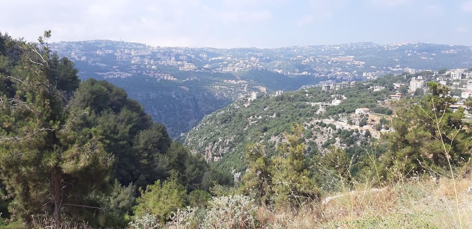 Wadi Shahine