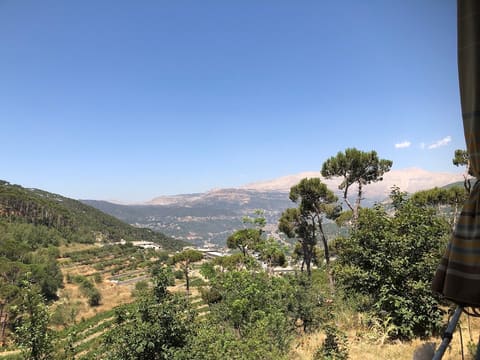 Ain el ghabeh — photograph 5