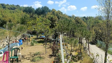 Samz GuestHouse — photograph 5